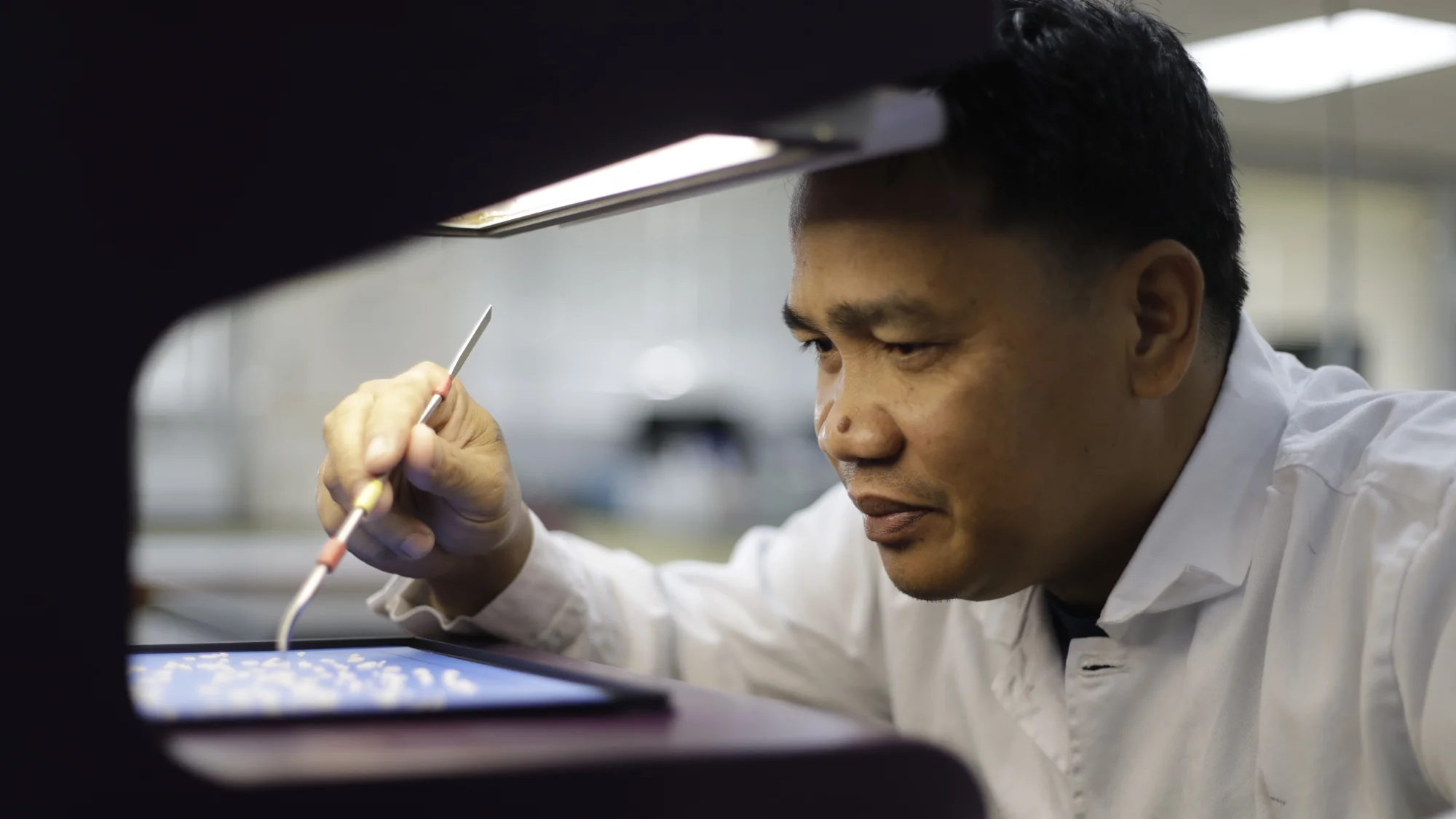 Research and Laboratory Services