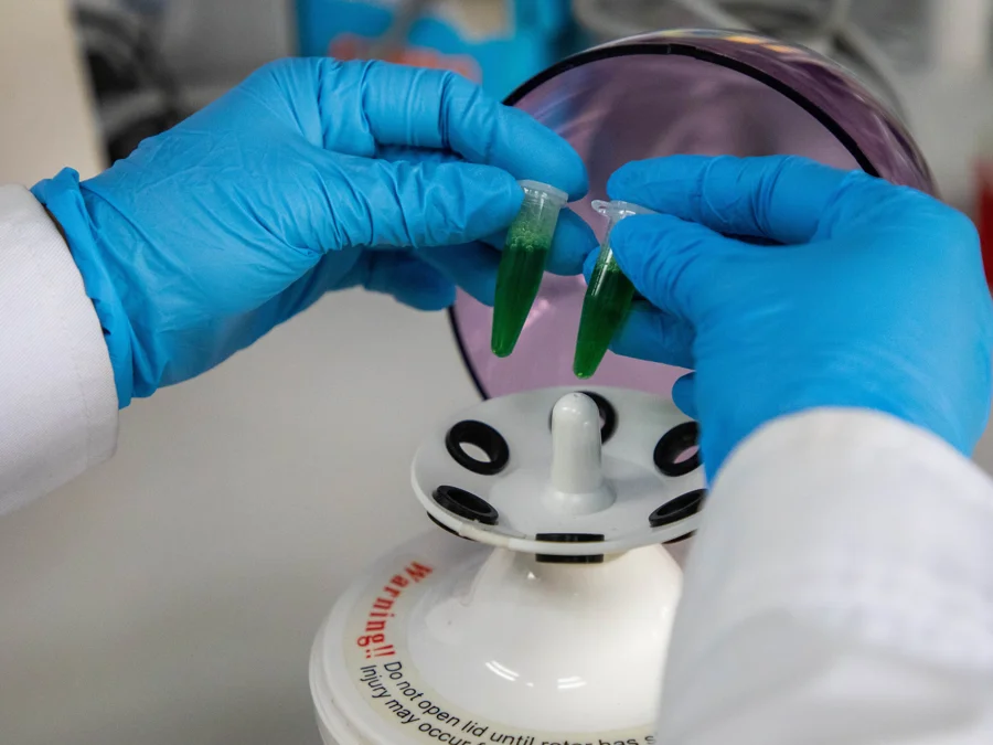 Rice Grain Quality Evaluation