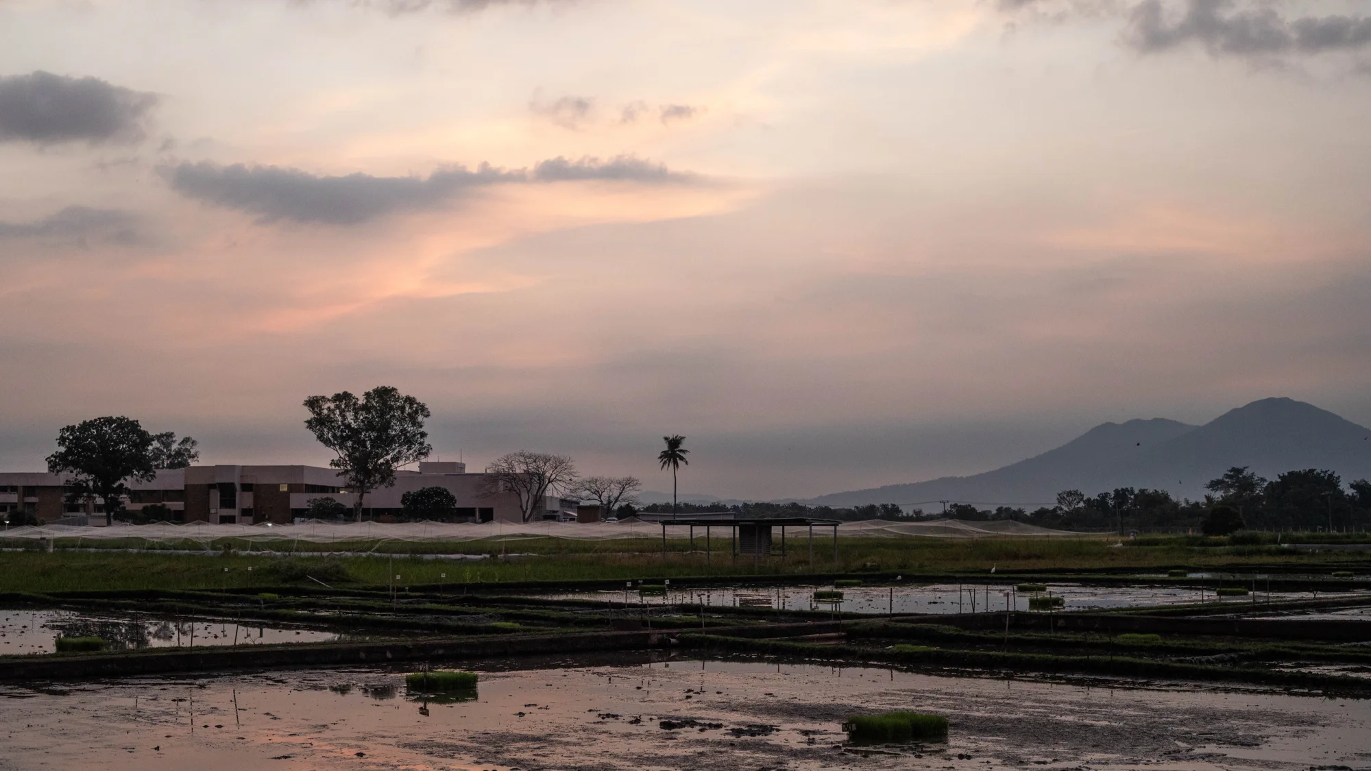 Southeast Asia