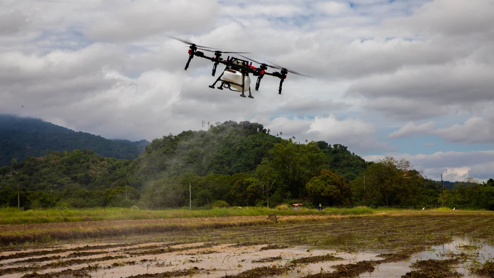 IRRI Tech Transfer
