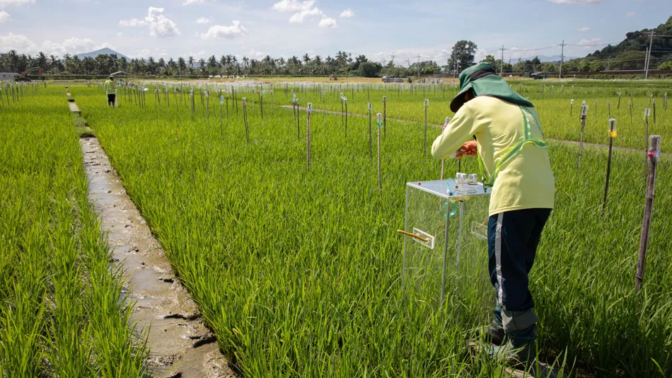 Catalyze Climate Resilience