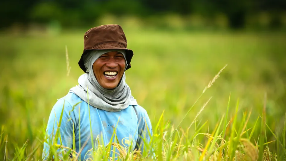 Enhance Food Security