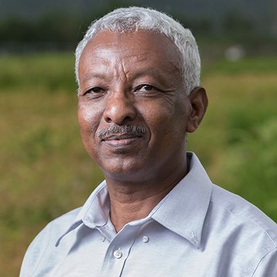 Abdelbagi Ismail