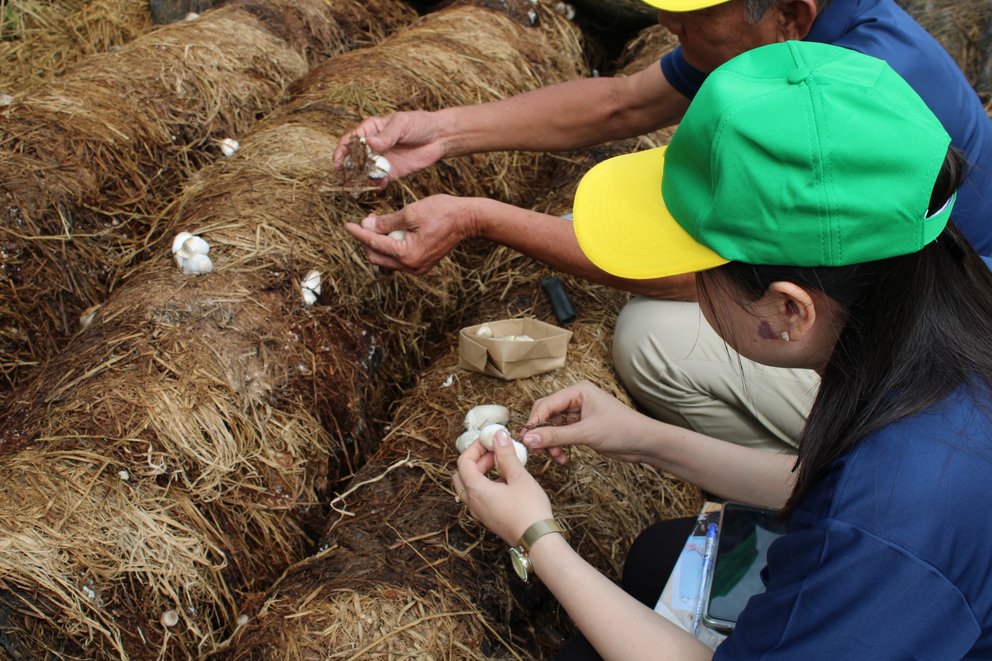 ASEAN Change Makers Explore Pathways for Climate-Smart Agriculture Ahead of COP30
