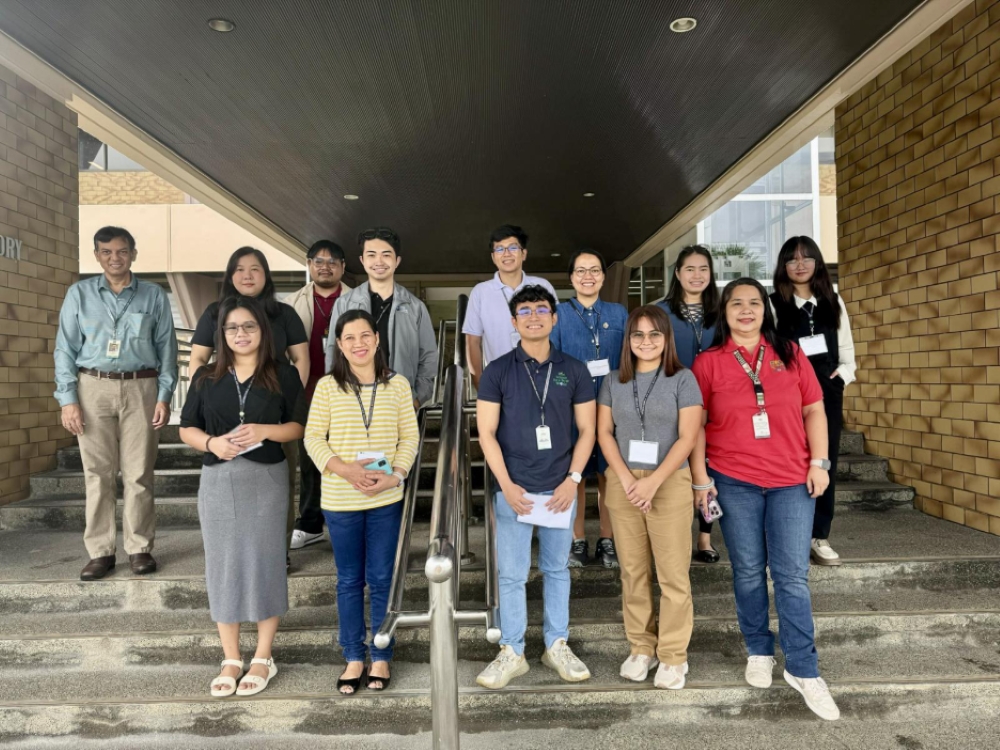 Why Grain Quality Matters in Modern Rice Breeding banner