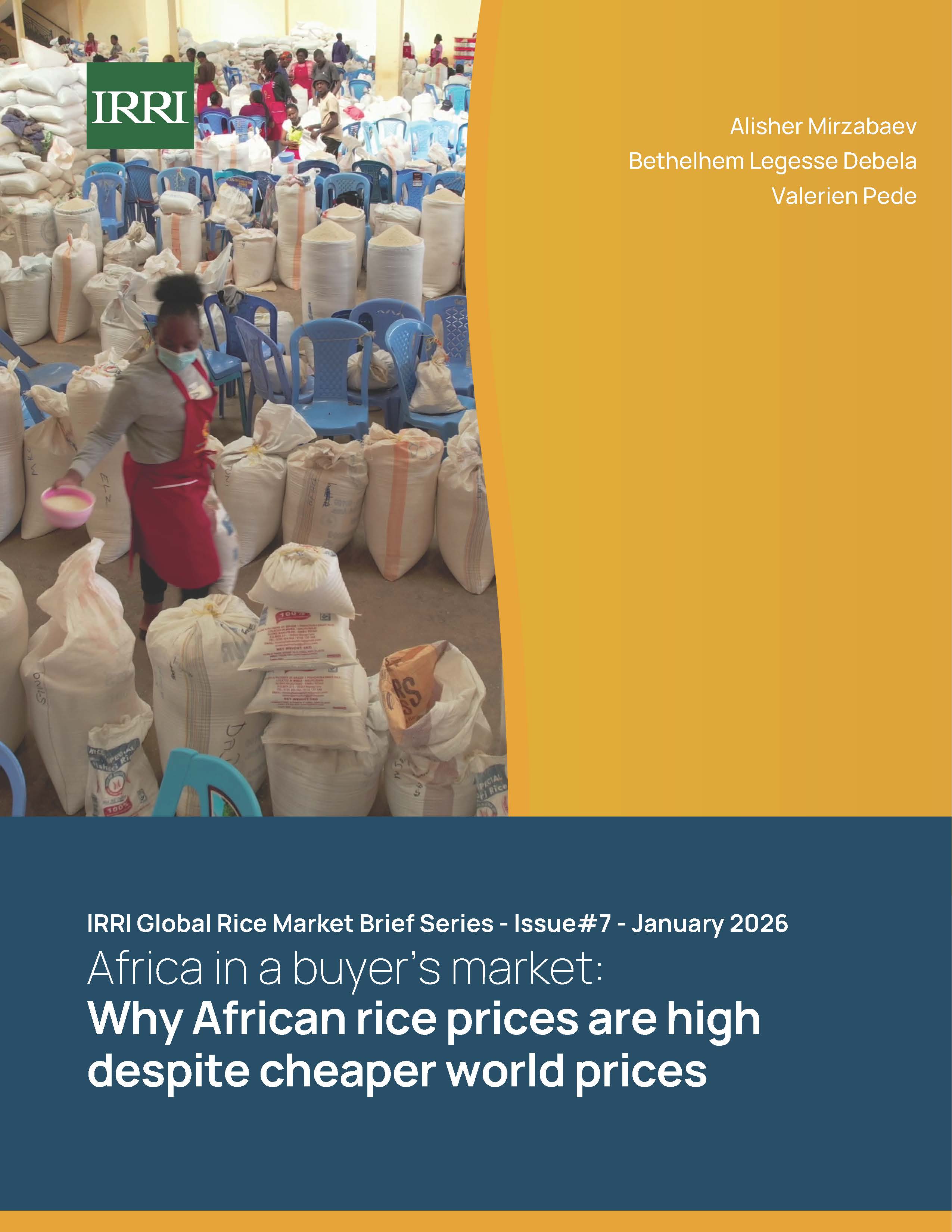 IRRI Global Market Brief Series ISSUE #7 cover
