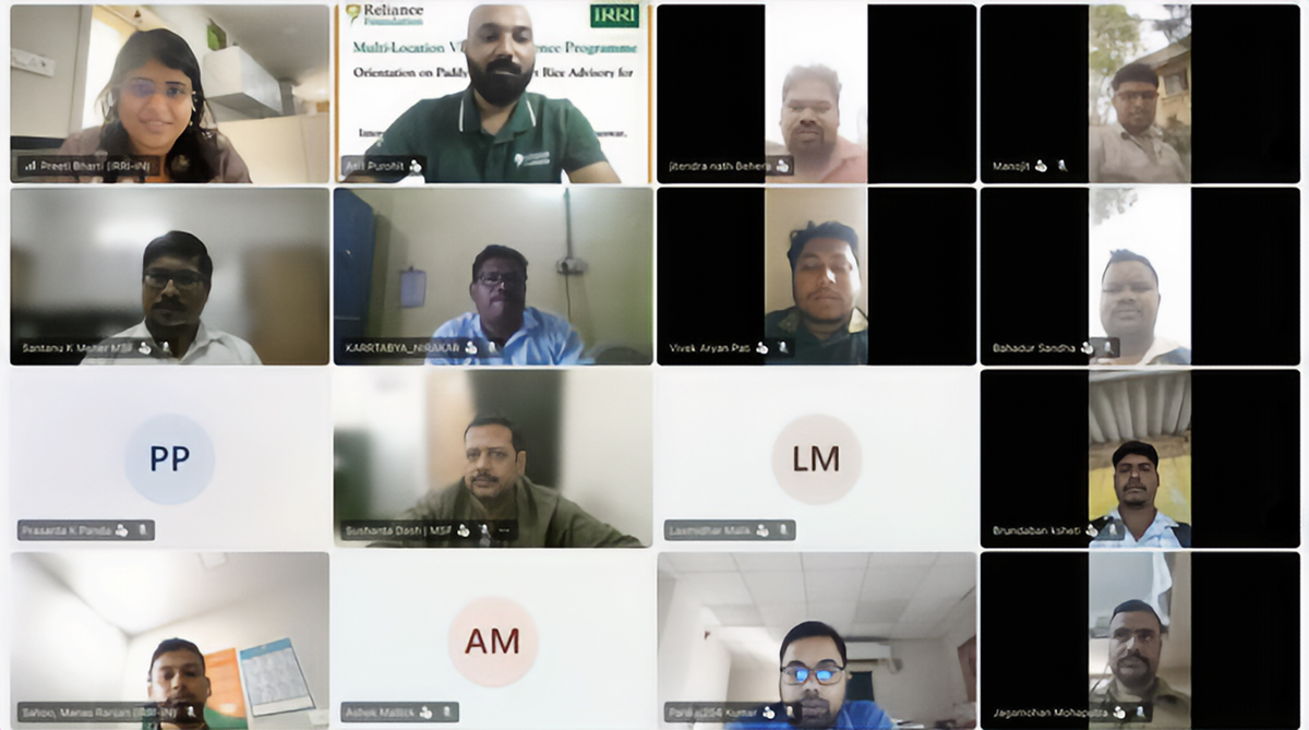 IRRI and Reliance Foundation strengthen partnership to expand PaddyMitra for rice farmers ...