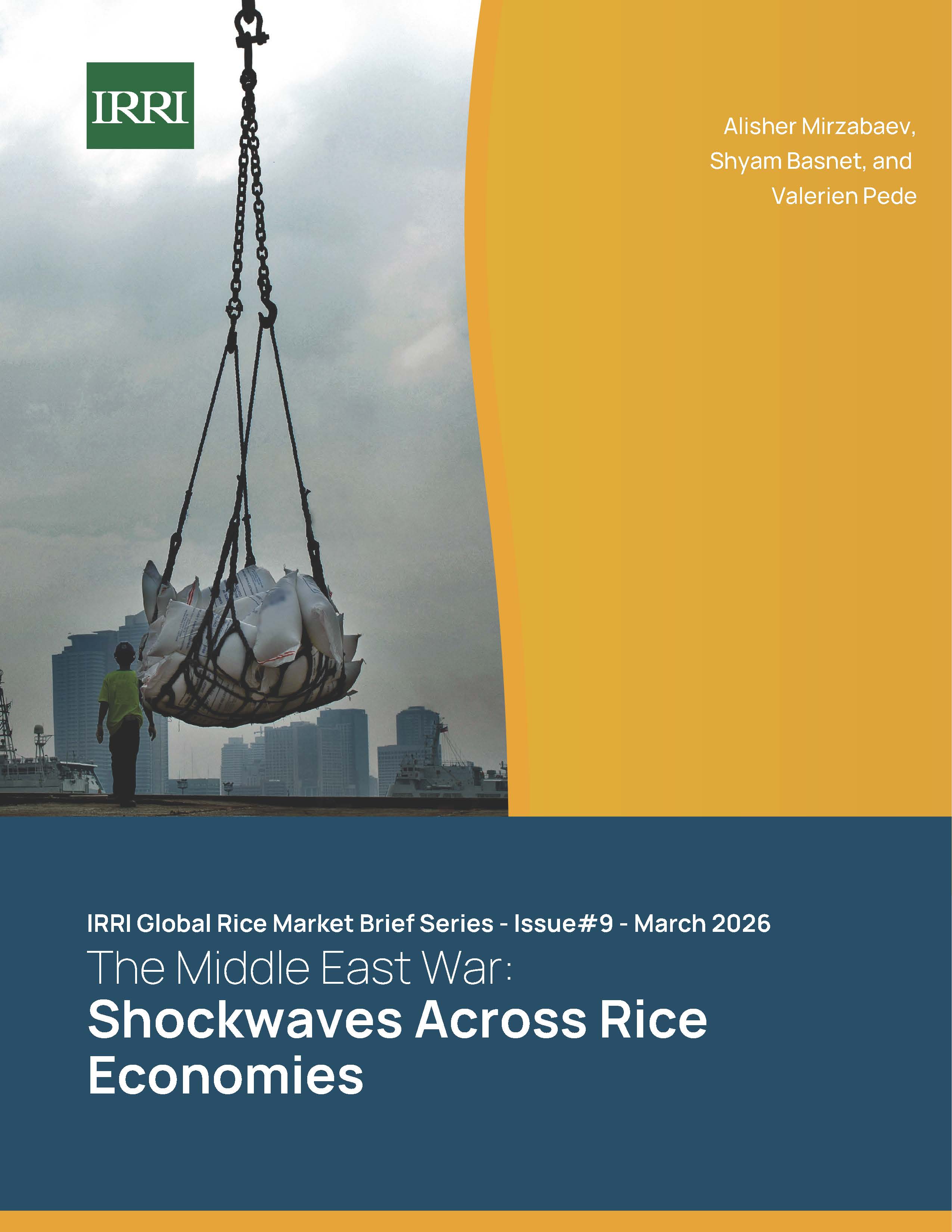 Global Market Brief Series Issue 9 cover