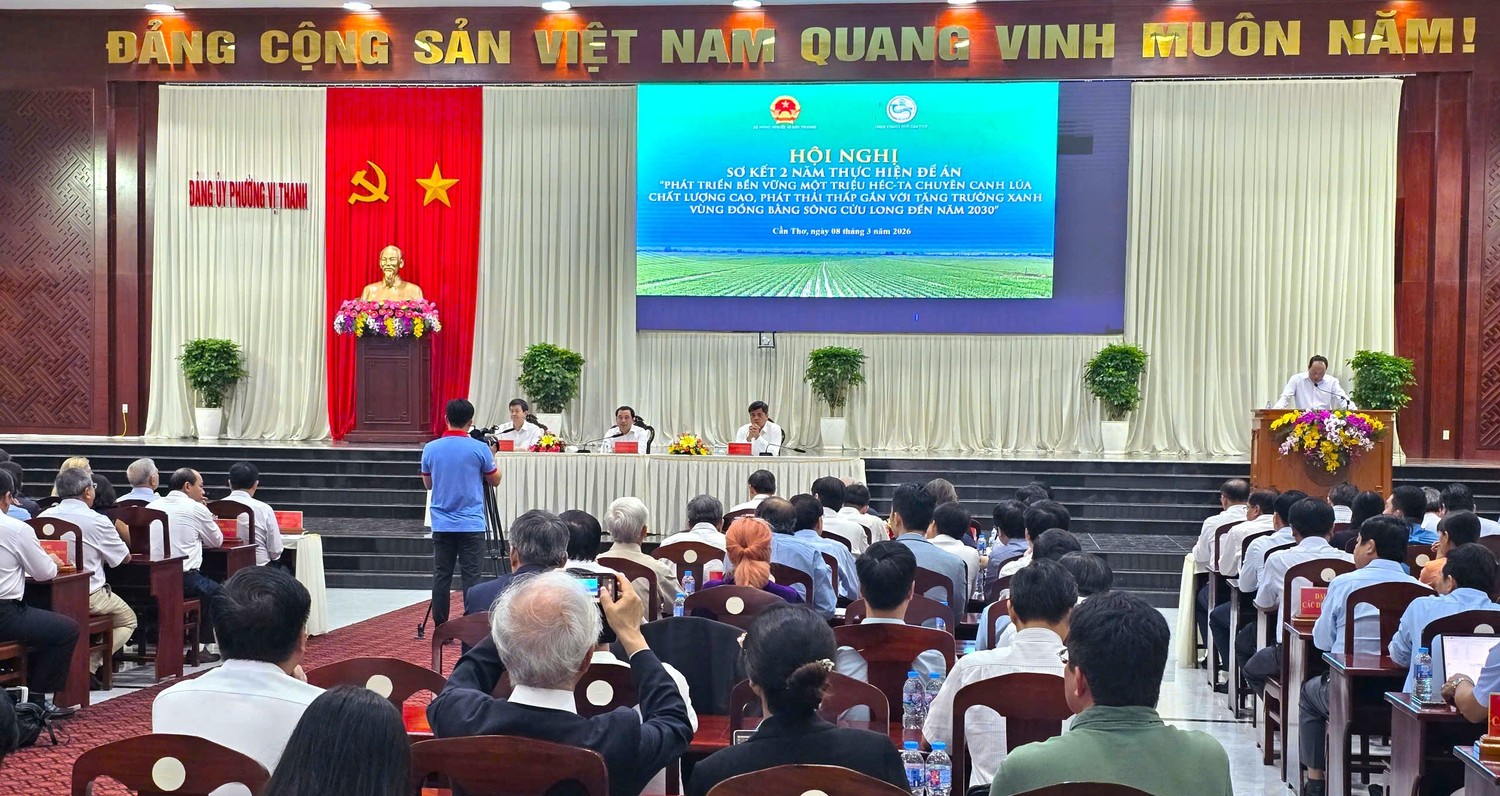 Mekong Delta’s Low-Emission Rice Program Surpasses Targets, Sets New Standards for Sustain...