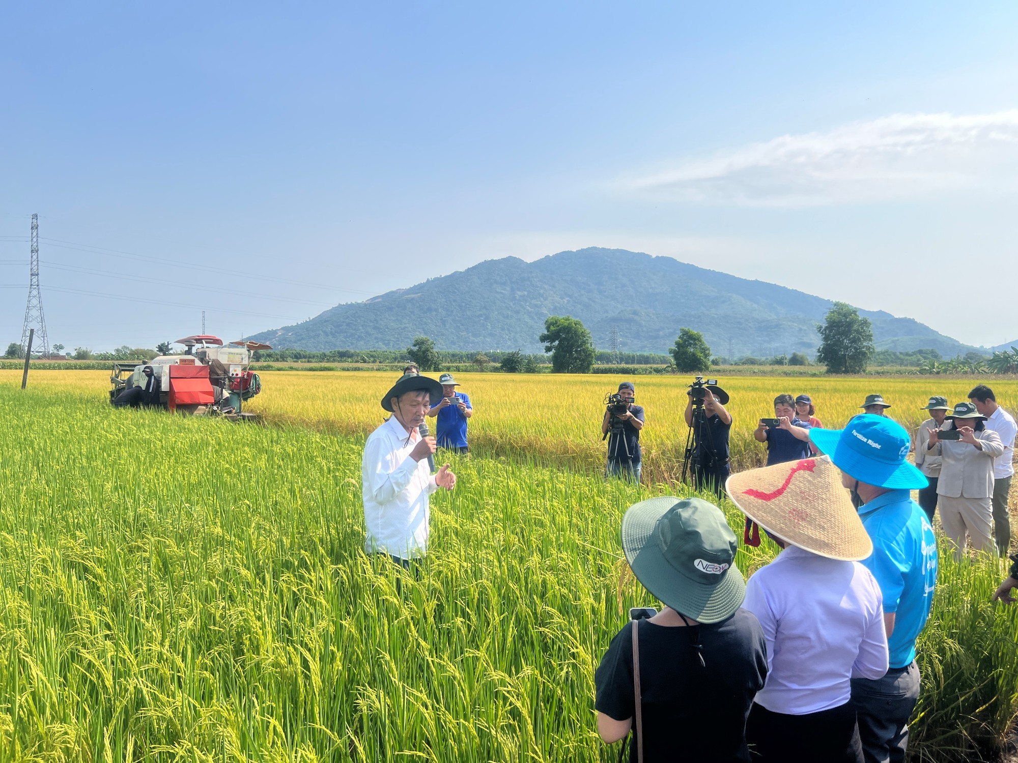 New rice sowing technology shows promise for low-emission farming in Vietnam