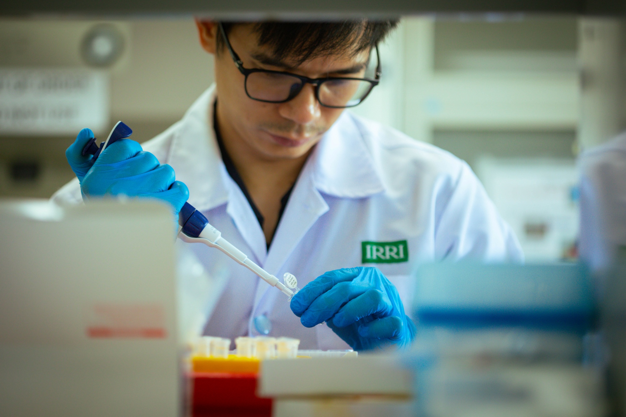 IRRI Strengthens Nearly a Decade of Stewardship Excellence with Dual Global Certifications banner image