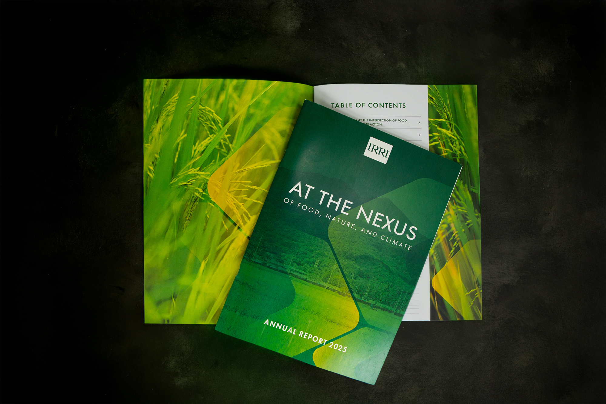 Annual Report 2025 cover image