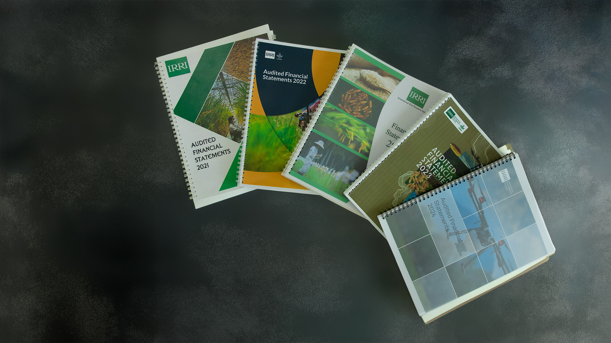 Audited Financial Statements page banner image
