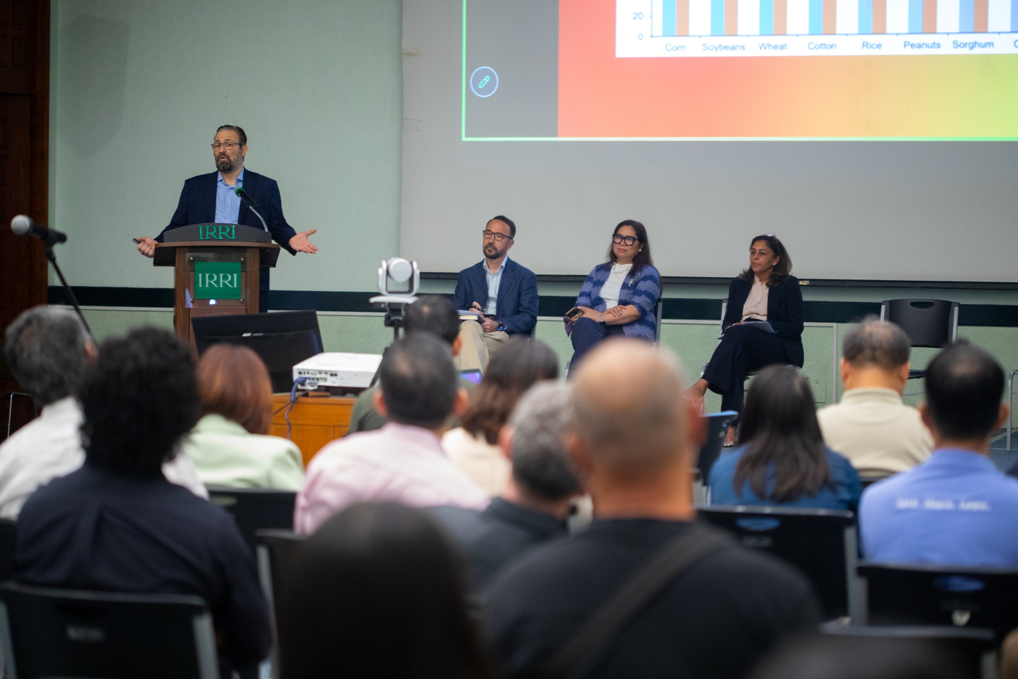 Rice, risk, and resilience: Navigating a more complex rice economy