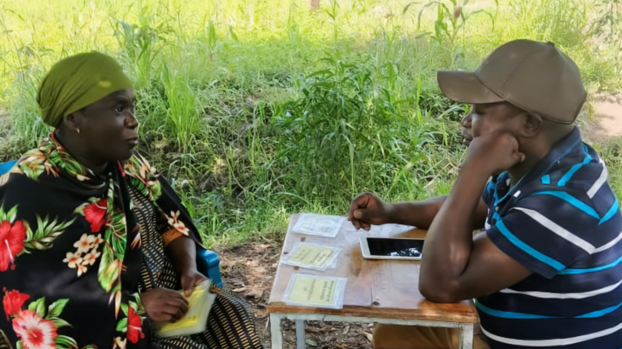 Card-sorting tool helps identify Tanzanian farmers’ preferred rice traits banner image
