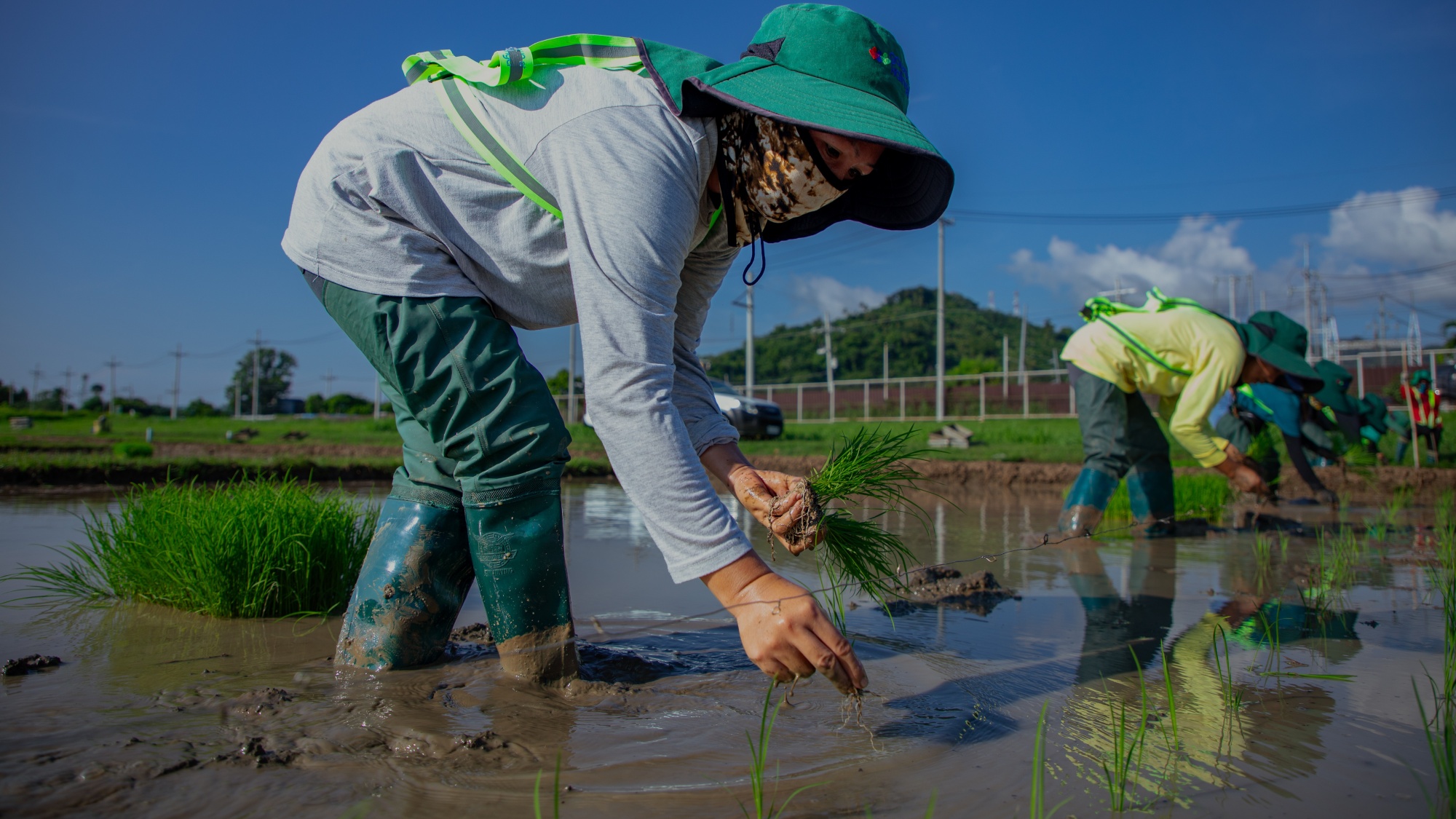 Inclusive Livelihoods section image