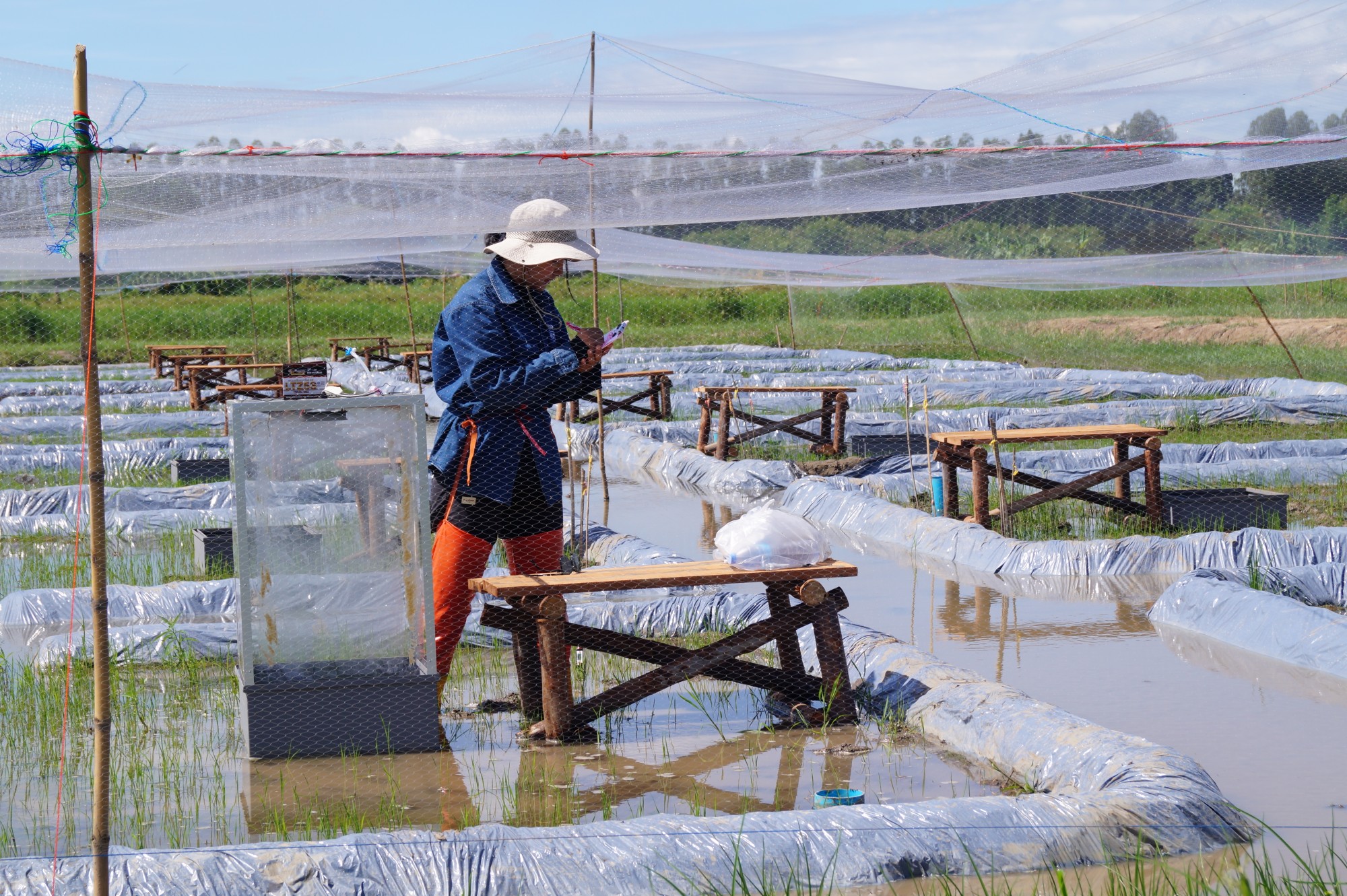 IRRI, partners advance Thailand’s unified rice-sector emissions monitoring system