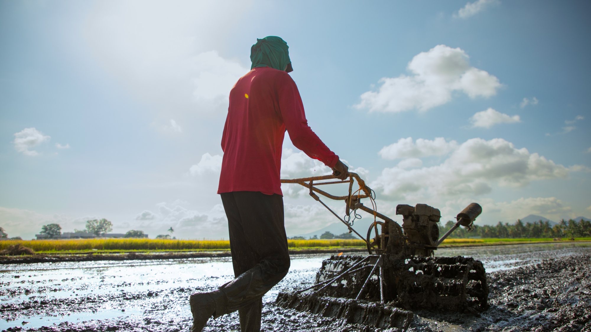 DA-BAR and IRRI roll out new project to support scaling of agricultural technologies in Ilocos Region, Cagayan Valley, and Eastern Visayas banner image