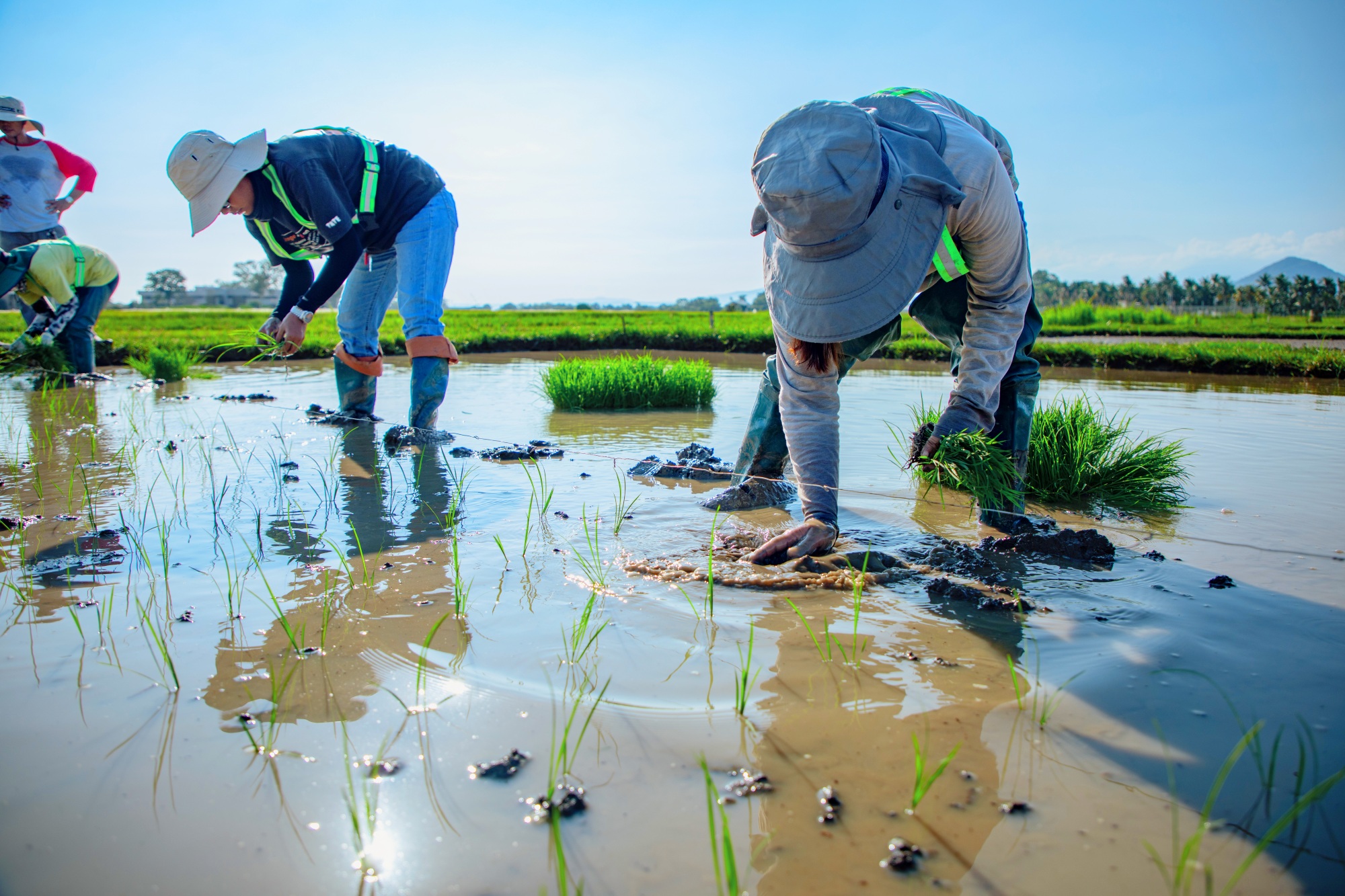 EFFECT project reaches Mindanao to support wider adoption of agricultural technologies