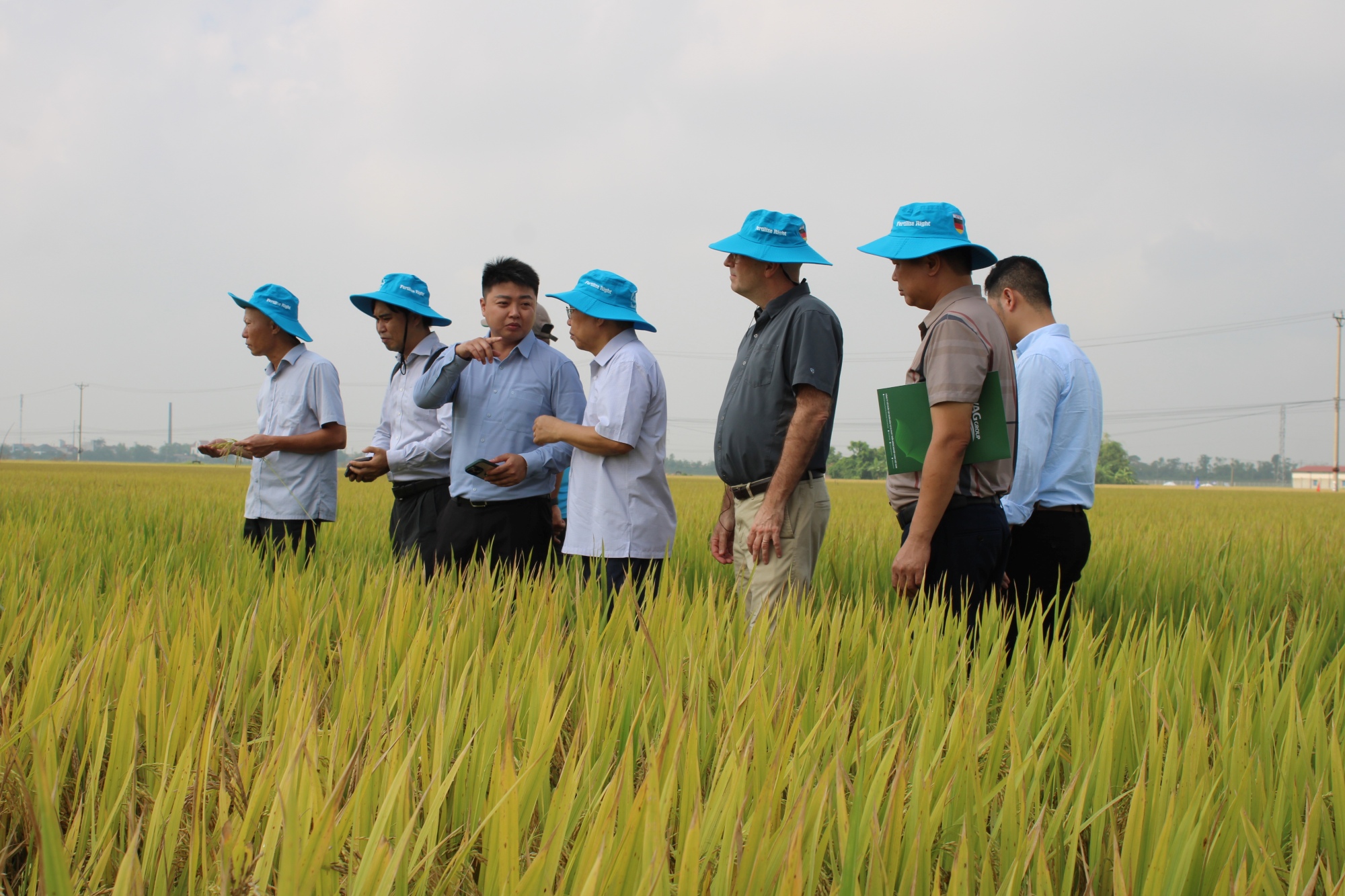 IRRI and partners demonstrate cost savings and sustainable rice farming solutions in Vietn...