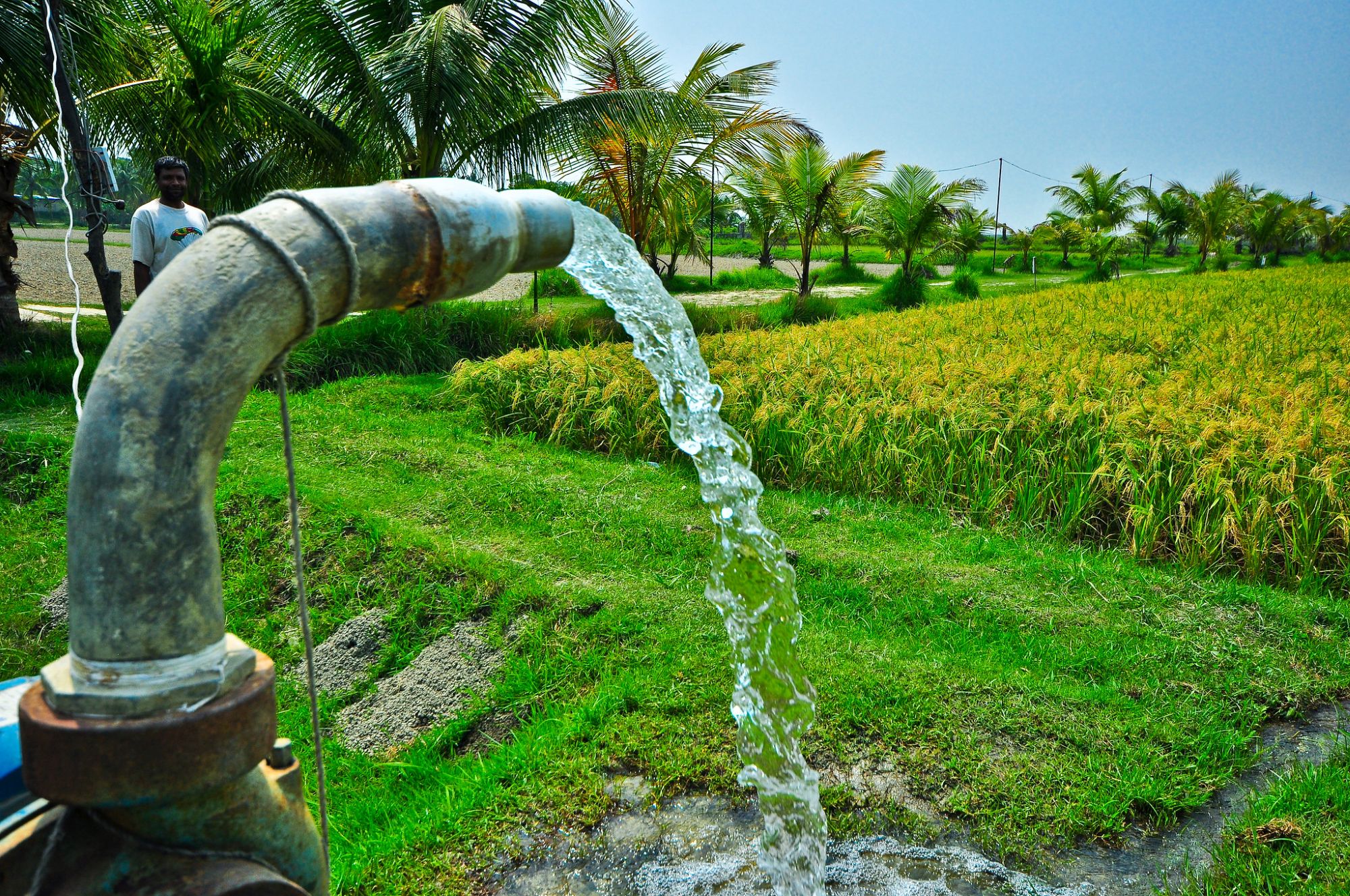 Scientists propose a new pathway toward a more sustainable groundwater future