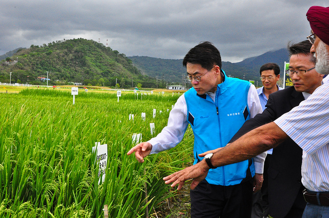 South Korea | International Rice Research Institute South Korea | International Rice Research Institute