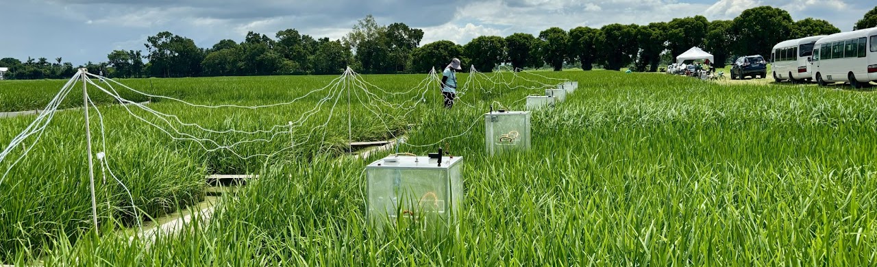 Measuring CH4 and N2O emissions