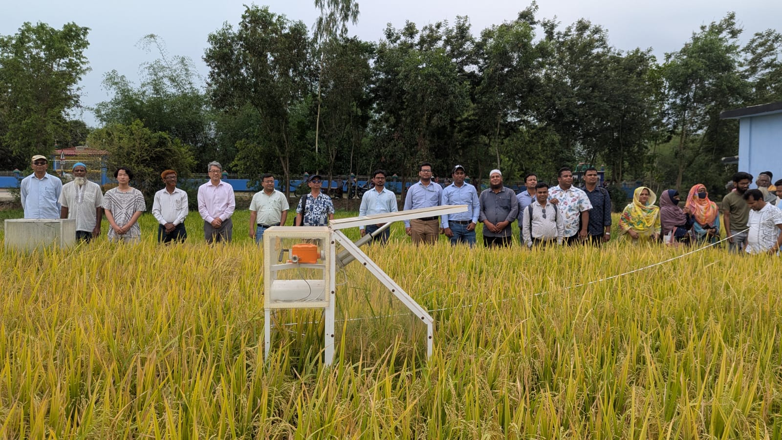 ADB initiative promotes water-saving irrigation practice in drought-prone Bangladesh region
