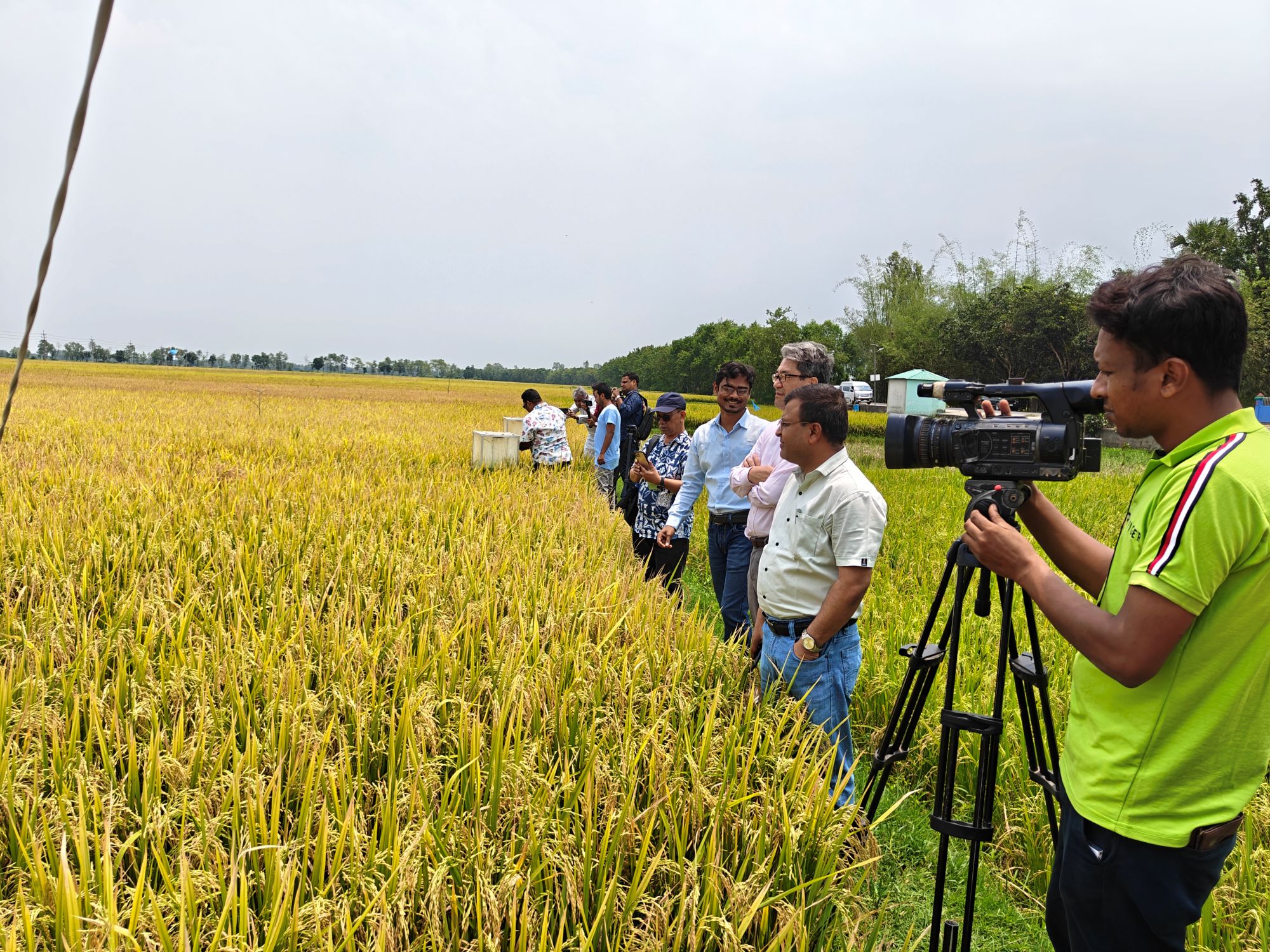 ADB initiative promotes water-saving irrigation practice in drought-prone Bangladesh region