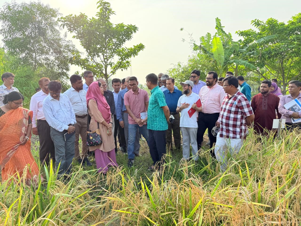 IRRI and BADC organize crop cafeteria field day to evaluate suitability of rice varieties