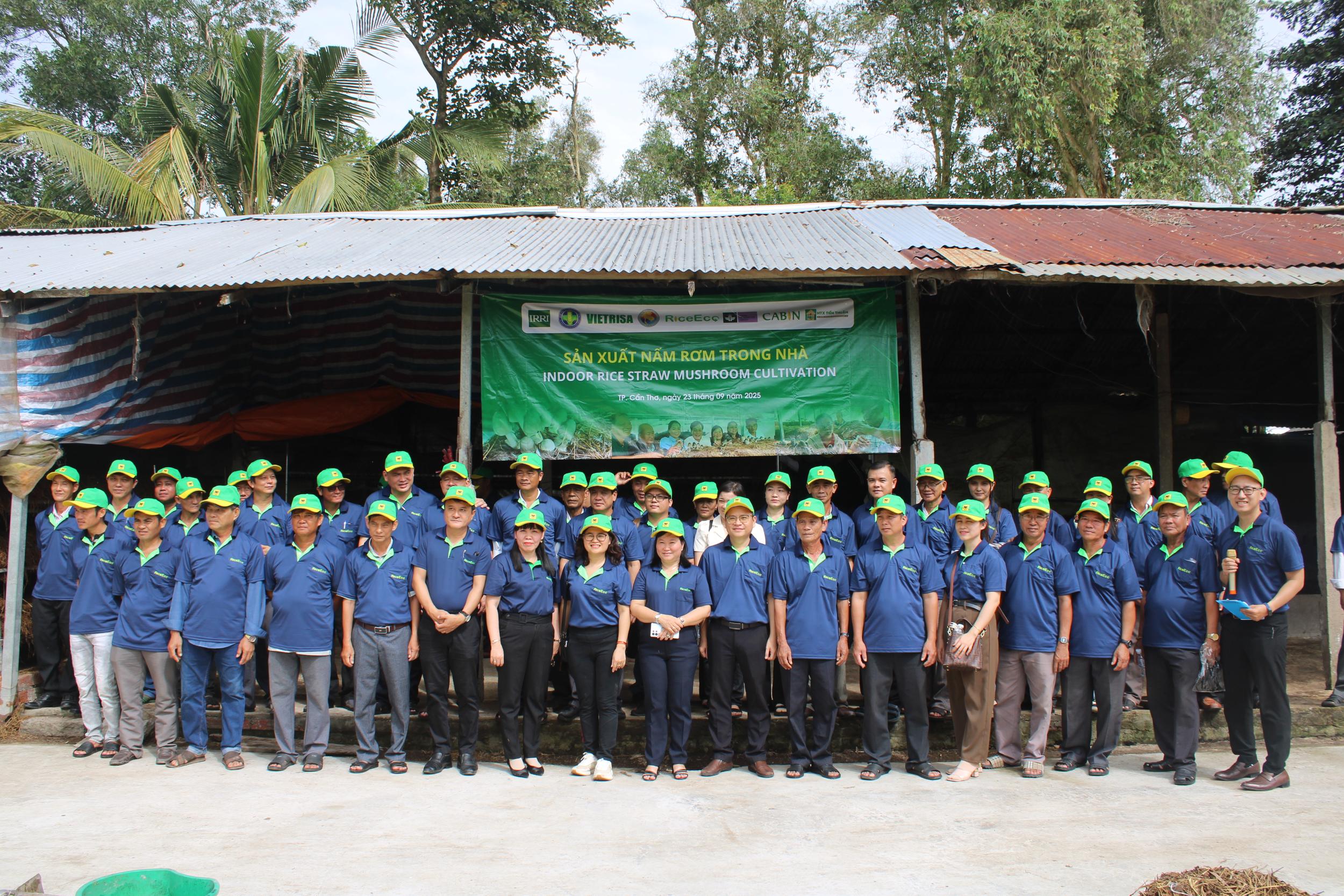 From waste to wealth: Vietnam’s circular economy turns rice straw into farmer income boost