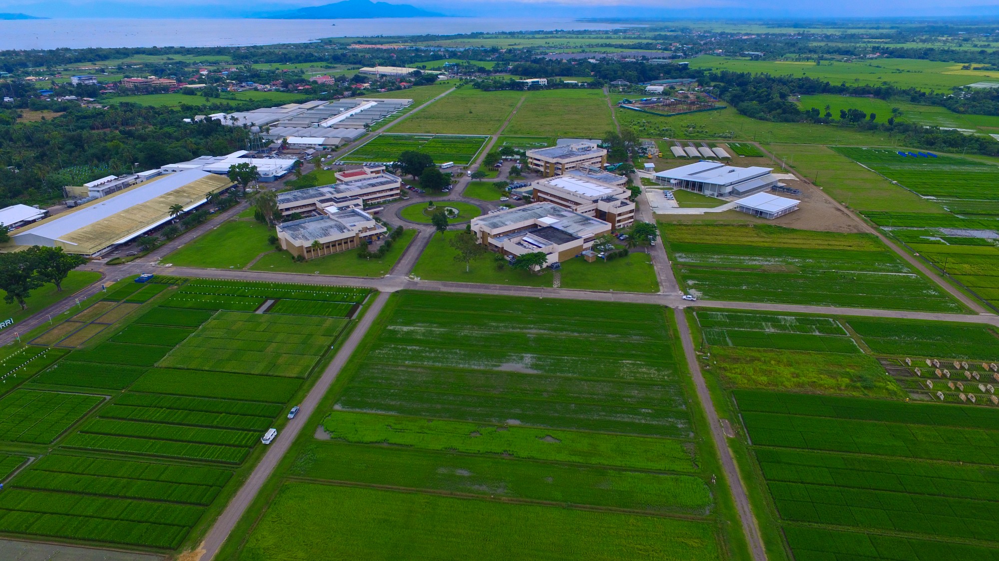 IRRI IN PHOTOS: 65 years of innovations in rice science