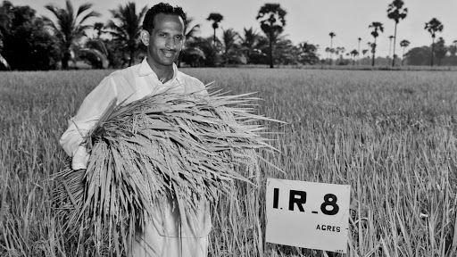 65 years of innovations in rice science