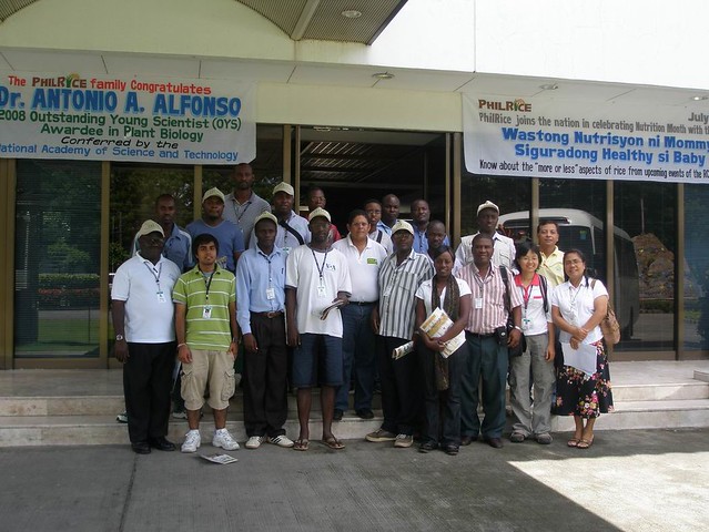 65 years of innovations in rice science