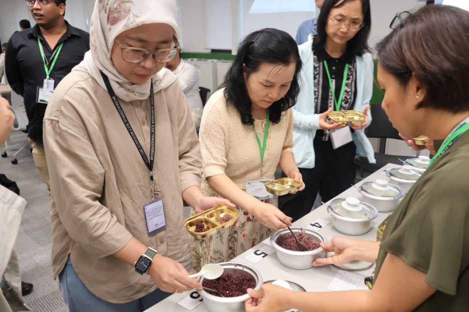 IRRI: New Whole-Grain ‘Super Rice’ Could Boost Nutrition and Climate Resilience