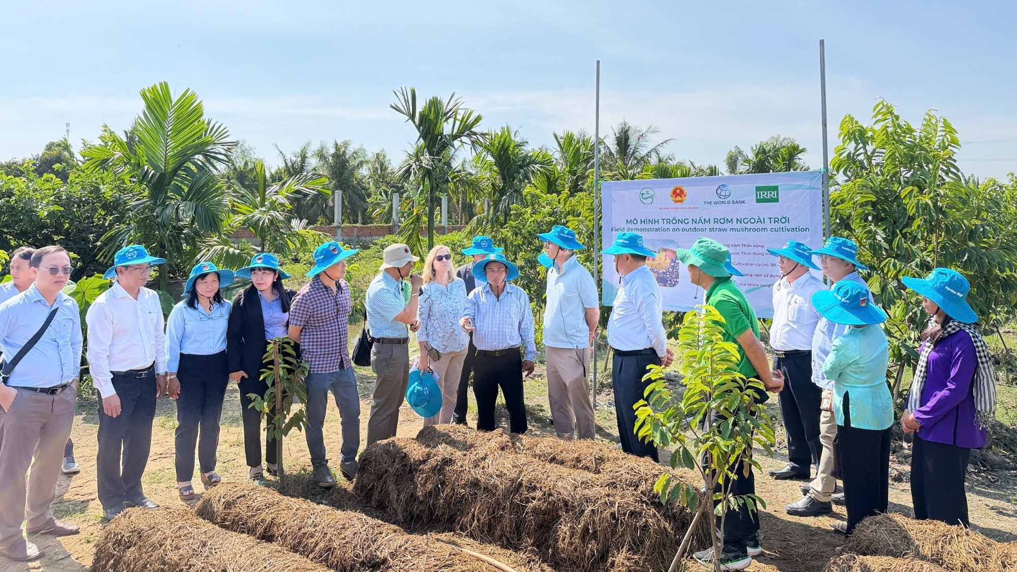 IRRI Showcases High-Quality, Low-Emission Rice Farming Practices and a Circular Economy Business Model to the World Bank and the Vietnam Government