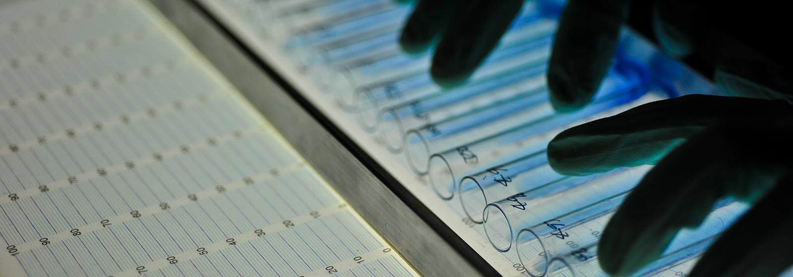 IRRI collaborates with Computomics to develop new and better rice varieties through machin...