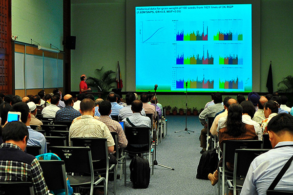 Indonesia to host IRRI-IAARD hybrid rice conference