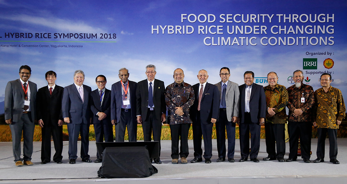 Symposium tackles Indonesia hybrid rice opportunities