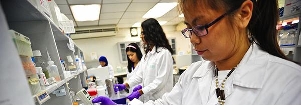 IRRI and Intertek join forces to help advance the global rice breeding effort