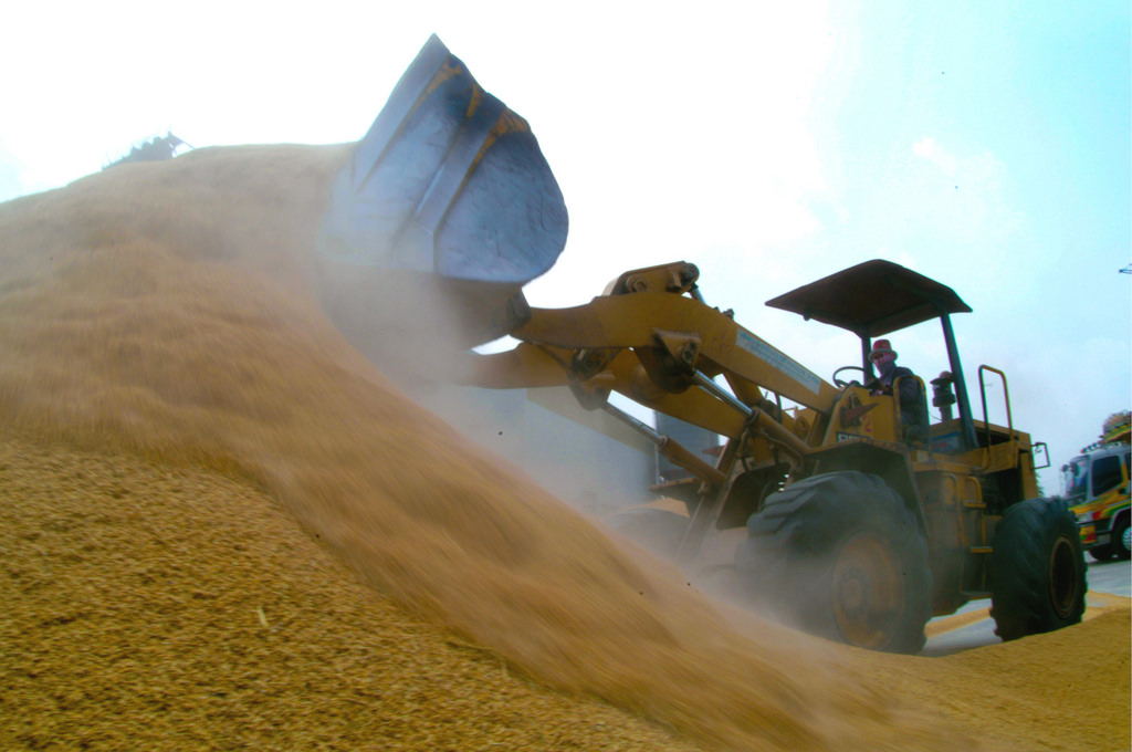 Helping Vietnam transform its rice sector through sustainable rice production practices