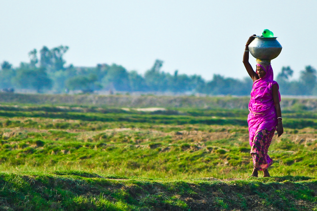IRRI-RRDI Launch New Center For Rice Research and Development in Sri Lanka