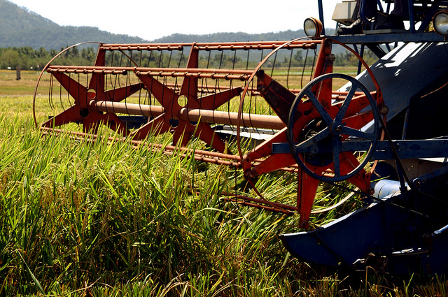 Increasing farmers’ income through post-harvest technologies and value chain upgrading