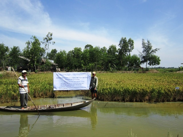 Vietnam can prepare for salinity and drought, experts say