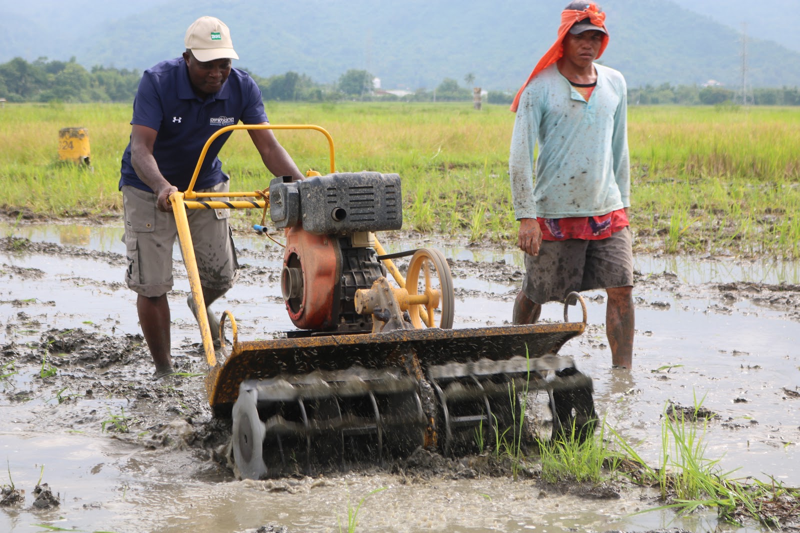 IRRI, FAO team up to develop sustainable rice value chain in Africa