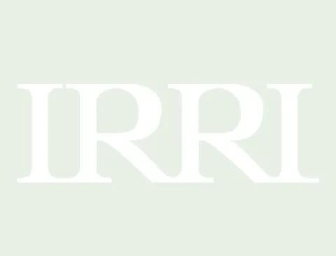 IRRI partners with Tao Commodity Trader, Inc. for a Limited Exclusivity Agreement to comme...