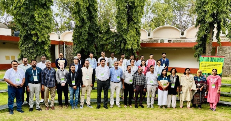 Less Is More in India’s Upcoming Rice Breeding Strategy