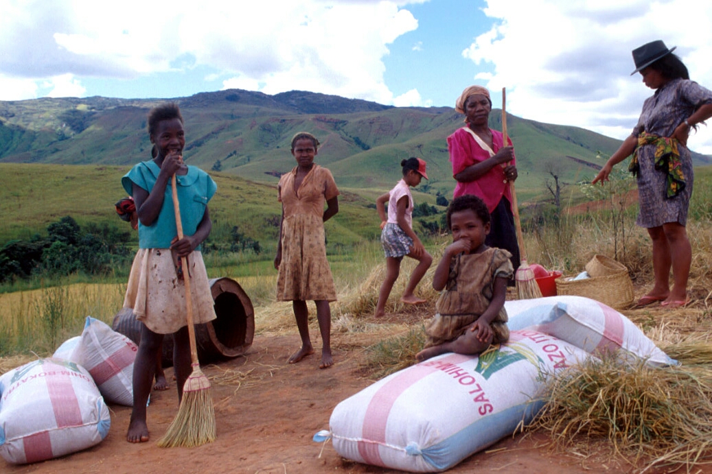 COVID-19 and food security | Limiting the impact of the crisis on rice value chains in Wes...