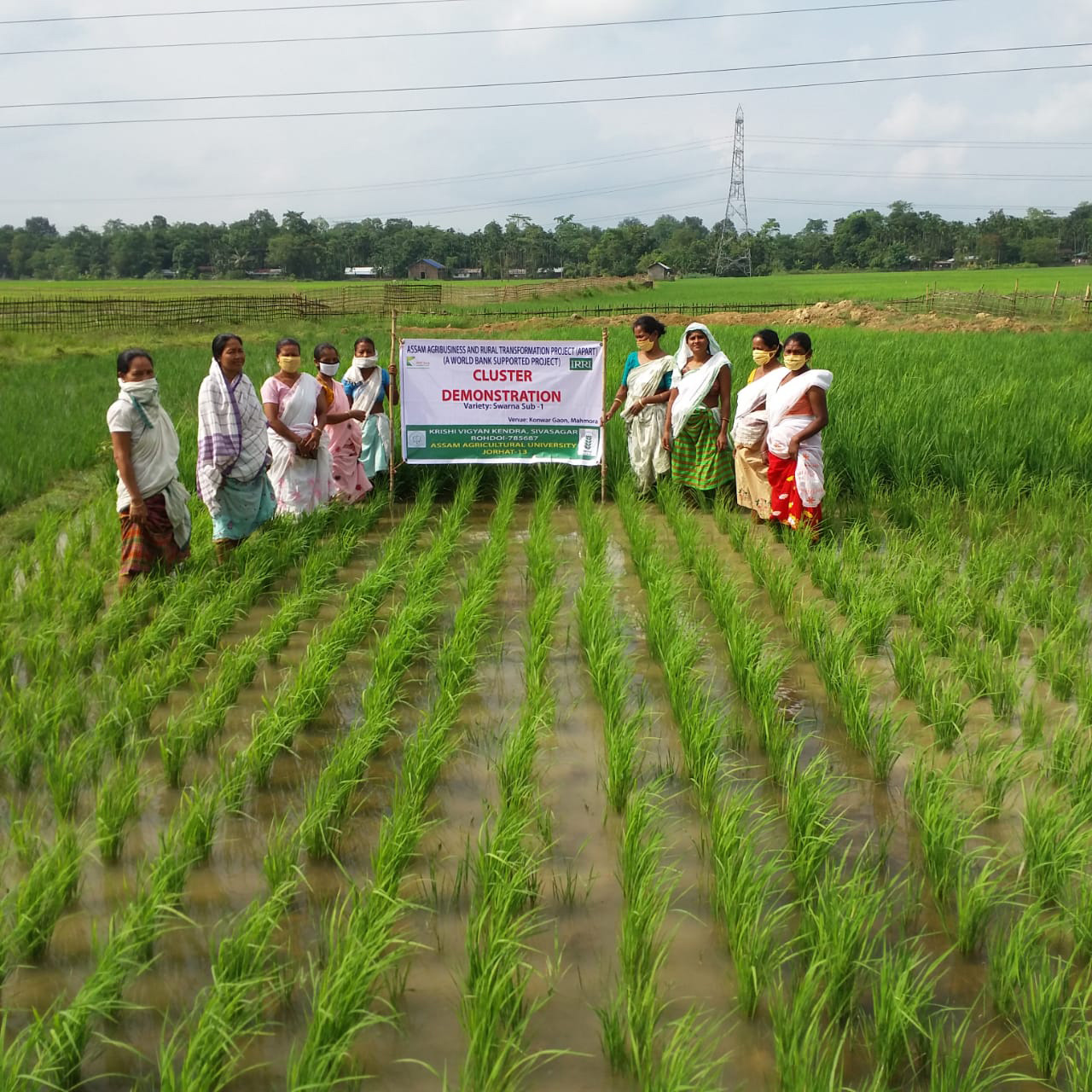 Assam women showcase climate-resilient technology to tackle Disang River floods