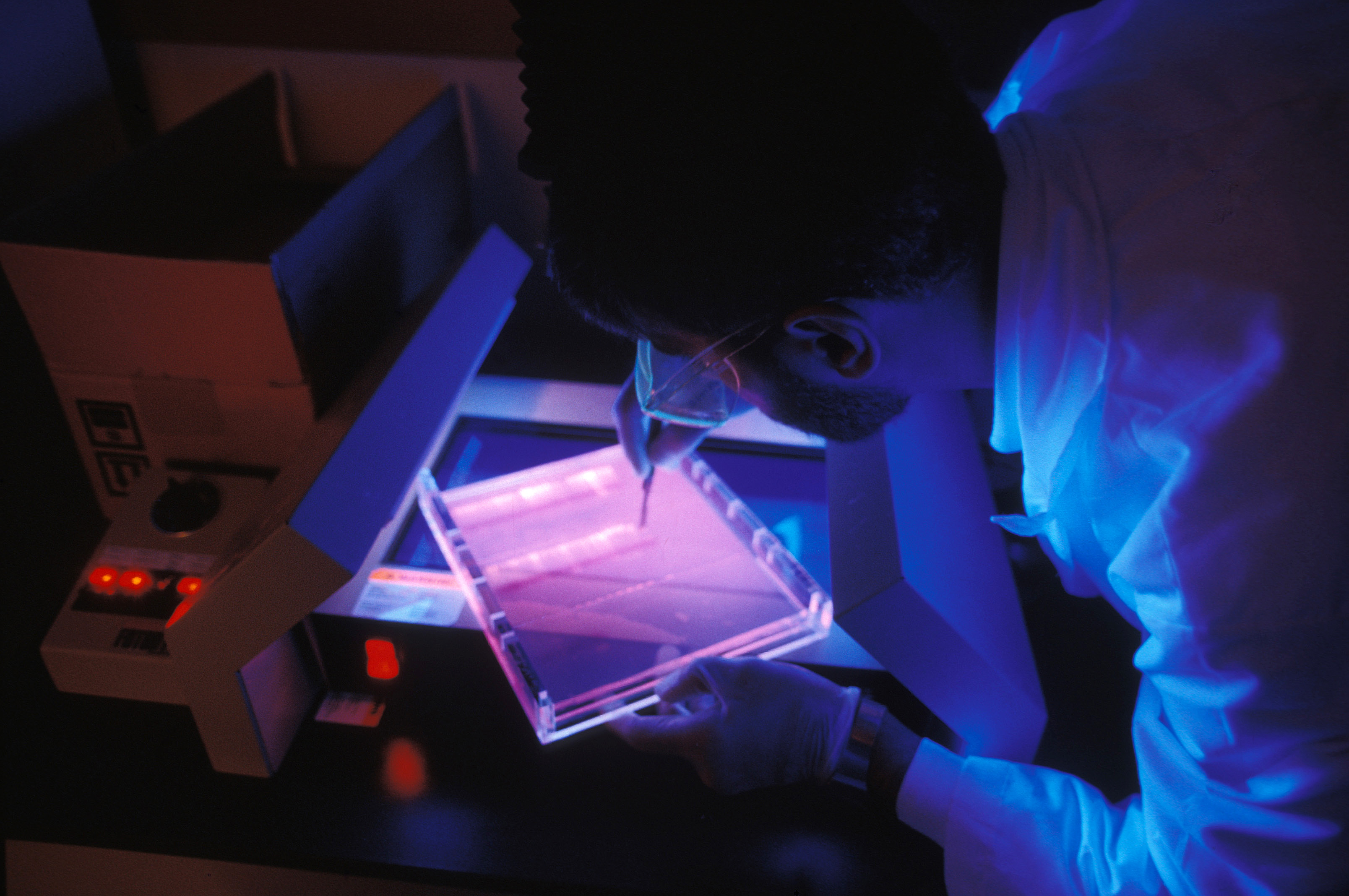 Bioseed partners with IRRI on biotechnology research and hybrid rice development